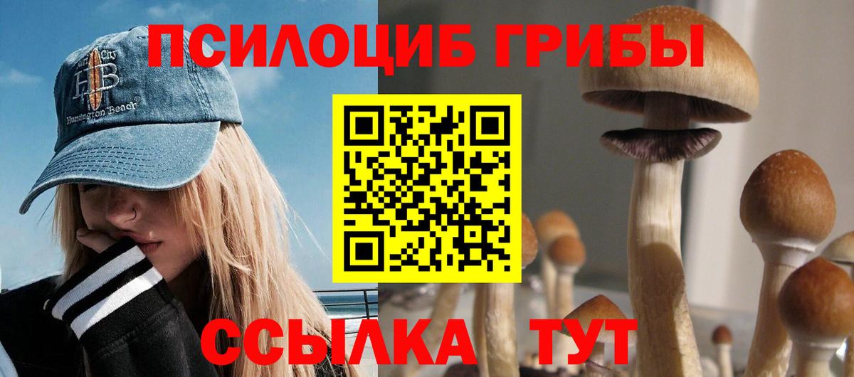 Псилоцибиновые грибы Cubensis Конаково